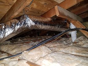 Attic Cleaning and Insulation